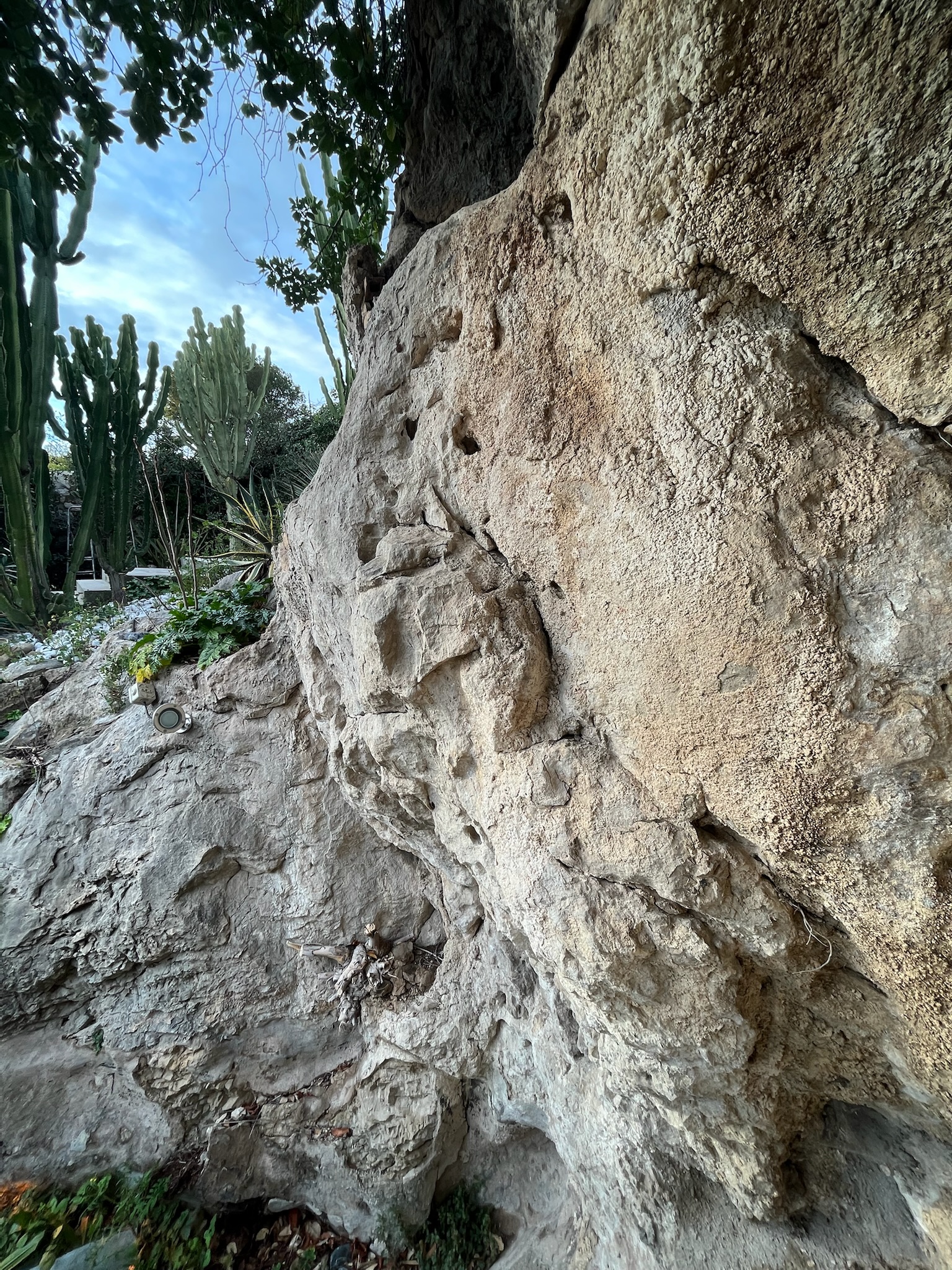 Chantier Roucas - Photo 23